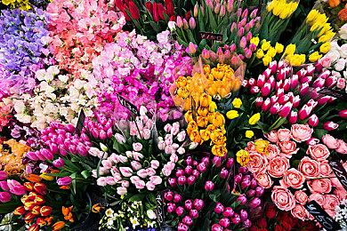 Steam新一周销量榜 《永劫无间》登顶