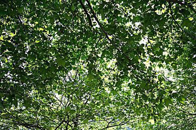 《索尼克 缤纷色彩 究极版》公开登场角色介绍