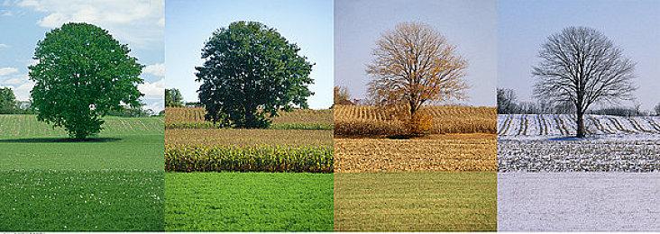 E3 2021：任天堂6月16日直面会日版完整视频